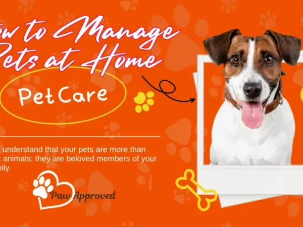 pet care tips