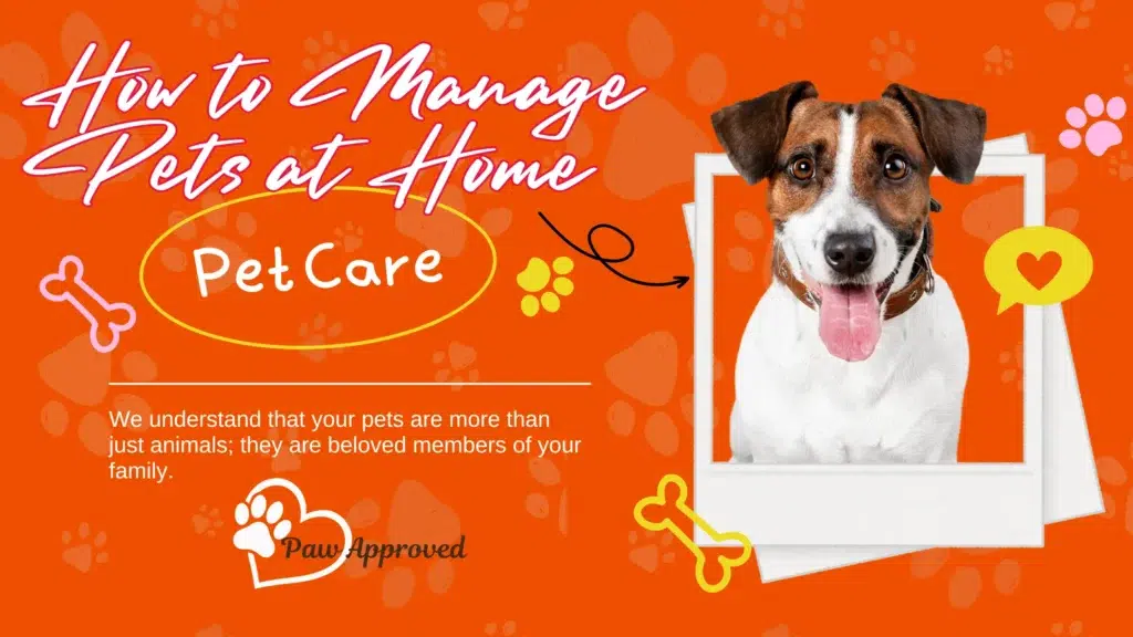 pet care tips