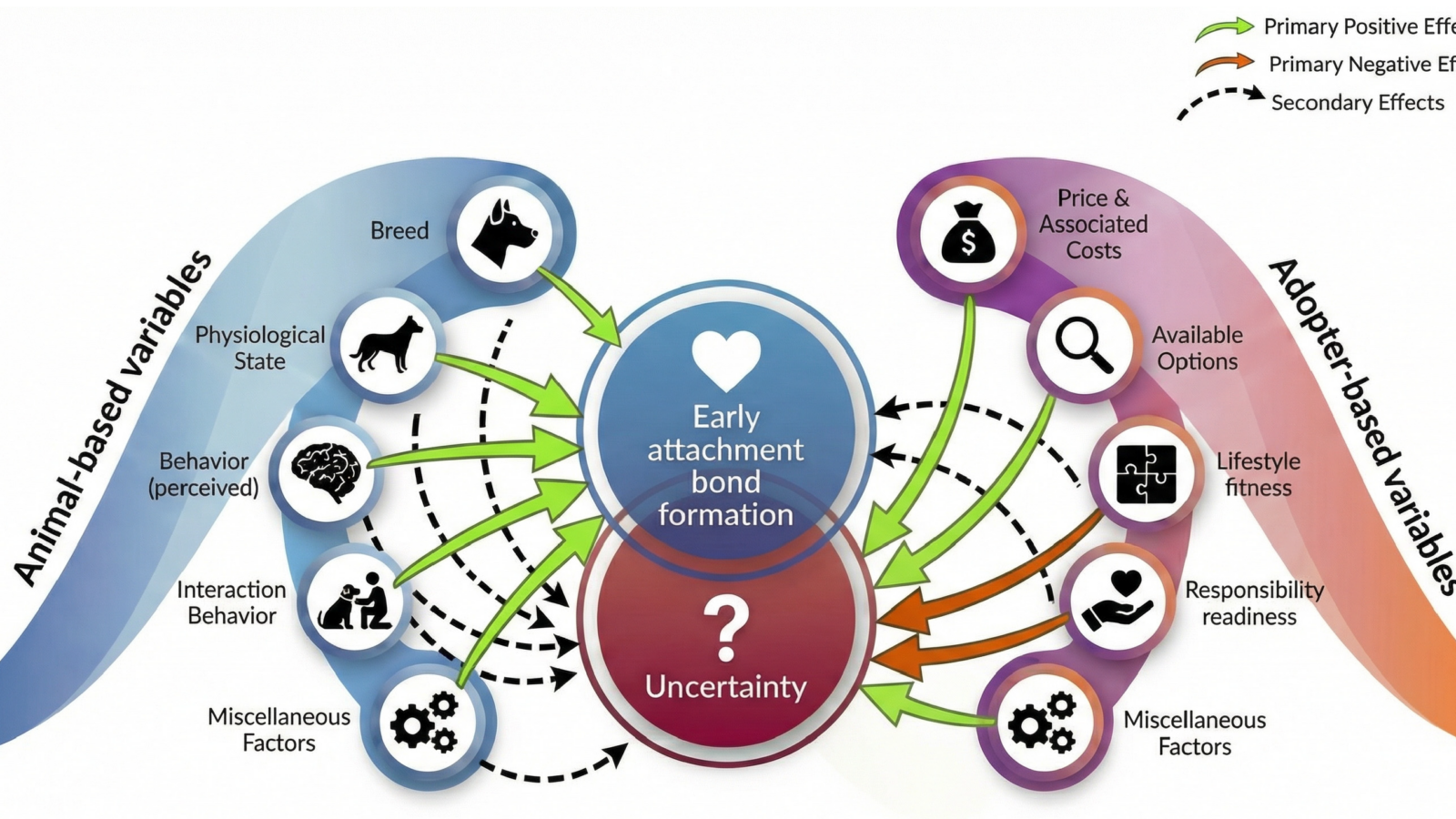 How Adoption Works for pet