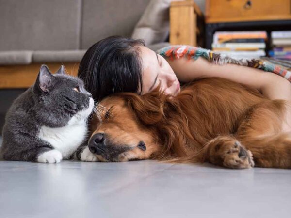 pet care tips