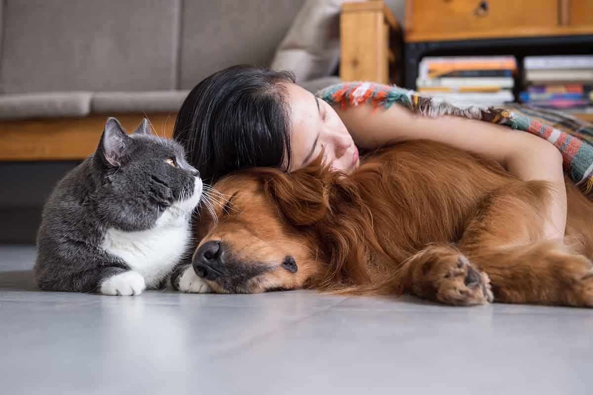 pet care tips