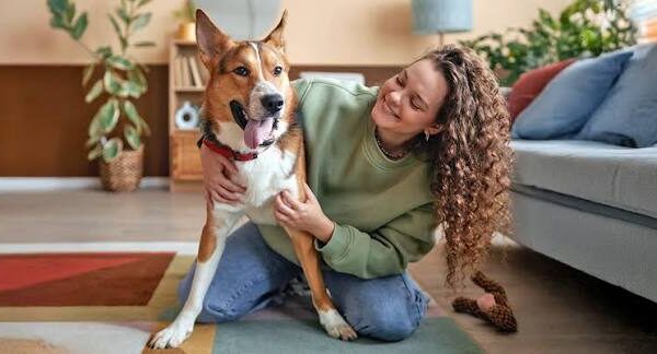 Dog Adoption: How to Find and Welcome Your New Dog