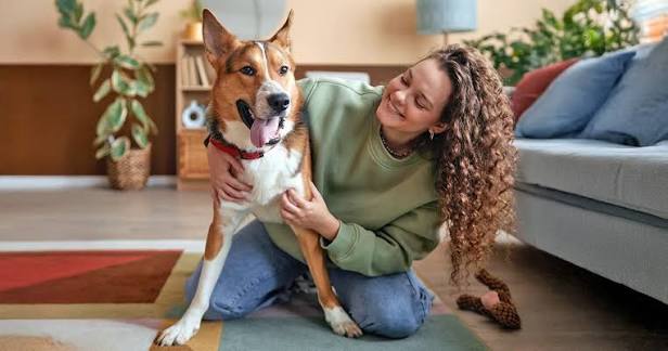Dog Adoption: How to Find and Welcome Your New Dog