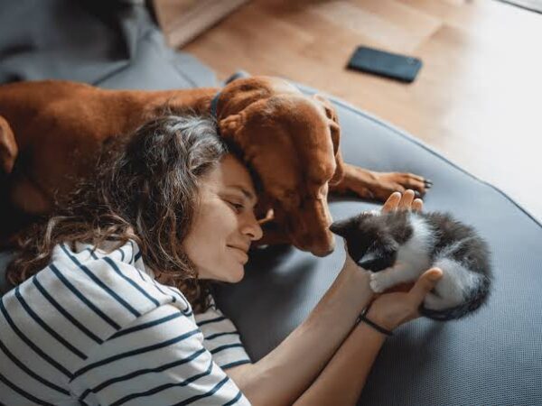 How to Keep Your Pet Healthy and Happy