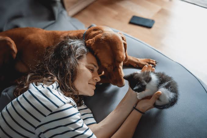 How to Keep Your Pet Healthy and Happy